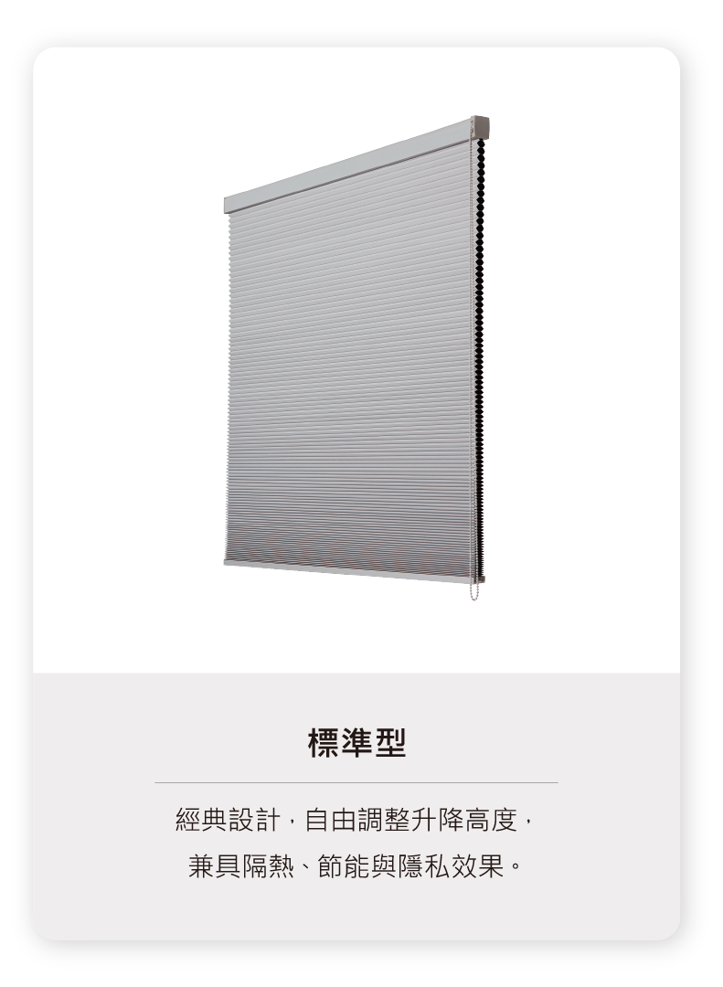蜂巢簾ˍ標準型ˍ20260611_0 蜂巢簾ˍ標準型ˍ20260611_0